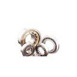 Cylindrical Roller Bearing thumbnail-1