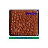 Chinese Fresh Canned Broad Bean in Brine With Low Price