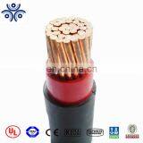 0.6/1KV Type and XLPE Insulation PVC Jacket N2XY Power Cable thumbnail-1