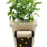 3 Gallon 5 Gallon 7 Gallon 10 Gallon 100 Gallon 200 Gallon Aeration Fabric Plant Grow Pot Garden Potato Felt Planter Grow Bags thumbnail-6