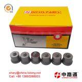 VE Pumps Fuel Delivery Valve 146430-5520 VE55 P7100 Pump Delivery Valves thumbnail-1