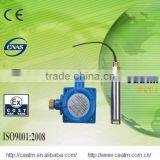 CA-217A-K High-temperature Fixed Gas Probe