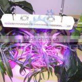 HL-G80A Led Grow Lights for Plants thumbnail-4