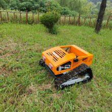 Robot Lawn Mower for Hills, China Remote Control Lawn Mower Price, Radio Controlled Mower for Sale thumbnail-5