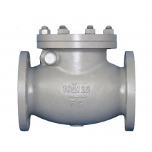 Marine Cast Iron Swing Type Check Valve JIS F7372 5K & F7373 10K Flange Check Valve thumbnail-1