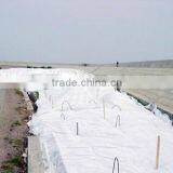 Geotextile Fabric --china Supplier thumbnail-1