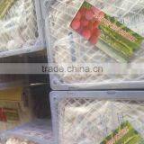 Red Global Grape/Red Grape/Bulk Grape thumbnail-5