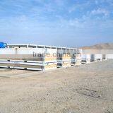 Professional Container House