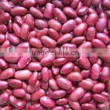 Red Kidney Beans thumbnail-1