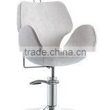 Portable Beauty Hair Salon Chair