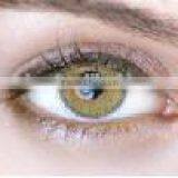 Wholesale 14.2mm Korea Blue Green Gray Different Color Cosmo Contact Lens thumbnail-1
