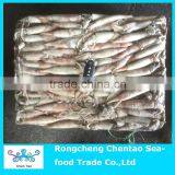 Hot Sale Frozen Squid as Fish Bait thumbnail-2