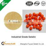 Industrial Grade Cow Skin Gelatin With Competitive Price thumbnail-1