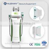 Hot Seller: Weight Loss Body 220 / 110V Slimming Cryolipolysis Face Lifting Machine Vertical thumbnail-1