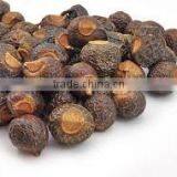 Indian Organic Natural Soapnut /Saponins Seeds in Second Grade thumbnail-3