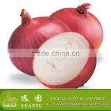 Fresh Red Onion From China thumbnail-5