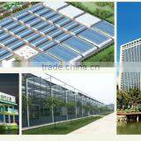 Frozen Mixed Vegetables thumbnail-6