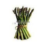 Asparagus E.P thumbnail-1
