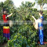 Instant Coffee thumbnail-3