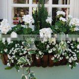 Wholesale Wood Table Centerpiece Stands for Wedding Decoration thumbnail-6