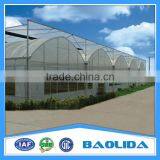 Multi Span Greenhouse /Invernadero For Vegetables thumbnail-3