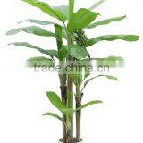 SJ0301112 Artificial Decorative Foliage Tree Banana Tree Products thumbnail-4