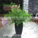 SJLJ013549 Artificial Potted Plant for Garden Home Decoration thumbnail-1