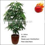Hot Sale Artificial Dizygotheca Plant thumbnail-1