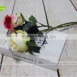 GNW FL-RS40-7CM High Similation Beautiful Artificial Flower Silk Rose for Home Decoration thumbnail-3