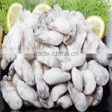 Sanintary Production Korea Tongyeong Pacific Oyster (I.Q.F / Frozen Oyster)