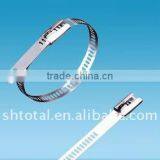 Stainless Steel Ladder Cable Tie (multi-lock) (naked) thumbnail-1