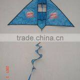 Printed Triangle Kite thumbnail-1