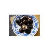 Supply Champignon in Brine thumbnail-1