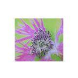 Sell Brooch thumbnail-1