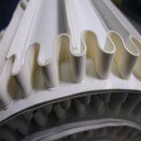 Customized Global Sidewall Conveyor Belt Line Glue With Cleats PB-W30 thumbnail-3