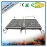 Water Animals and Plants Growth Light