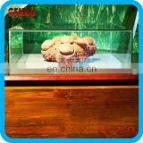 Fiberglass Decoration Dinosaur Eggs Fossil