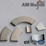 Segment magnet neodymium customized magnet for motor