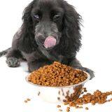 High-energy Whole-period Dog Food thumbnail-3