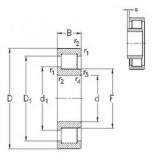 110x240x50 Bearing