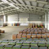 Warehouse for Rent in Ho Chi Minh City, Vietnam thumbnail-3
