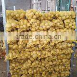 Top Grade Red Burgundy Onions Packing In Mesh Bag Wholesale Price thumbnail-6