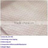 Spunlace Nonwoven Fabric With Equality Surface thumbnail-1