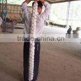 Braids Garlic thumbnail-1