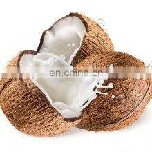 Coconut Processing Machinery/coconut Milk Extractor thumbnail-4
