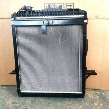 Foton Aumark Aluminum Radiator Assembly 1105913100041 1112913100001