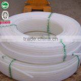 Water Supply Ppr Tube Factory Price thumbnail-3