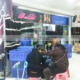 Guangzhou Beiqi Beauty And Salon Hair Products Firm company overview - view 1 thumbnail