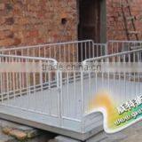 Live Stock Scale for Sale