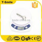 3Cr13 Folding Portable Mini Key Shape Knife